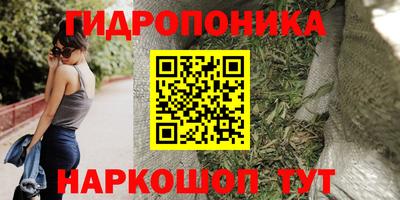 кокс Пугачёв