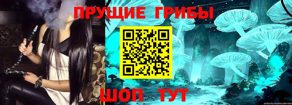 Псилоцибиновые грибы мицелий  Псилоцибиновые грибы мицелий  Вход с VPN  Псков 